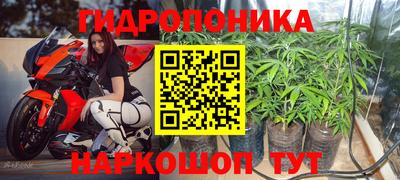 гидра Гатчина