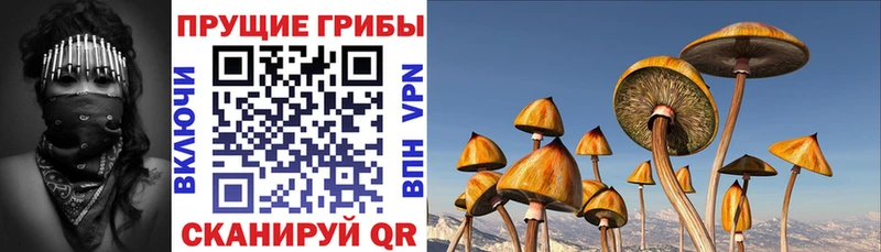 даркнет сайт  ОМГ ОМГ   Псилоцибиновые грибы прущие грибы  Златоуст 