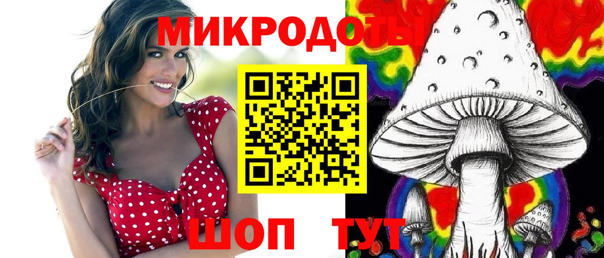 Златоуст  закладка  Вход с VPN  Галлюциногенные грибы мухоморы 