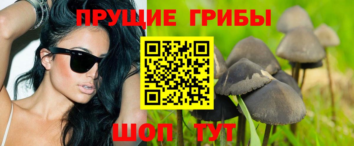 Псилоцибиновые грибы MAGIC MUSHROOMS  Златоуст  купить наркоту  Галлюциногенные грибы прущие грибы 